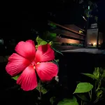 Ad Maiora Glamping * Faedis