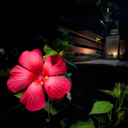 Ad Maiora Luxury Glamping Private * Faedis